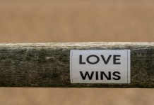 Nell'immagine la scritta "Love Wins" - (l'Amore vince) su di un palo - Smart Marketing