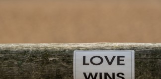 Nell'immagine la scritta "Love Wins" - (l'Amore vince) su di un palo - Smart Marketing