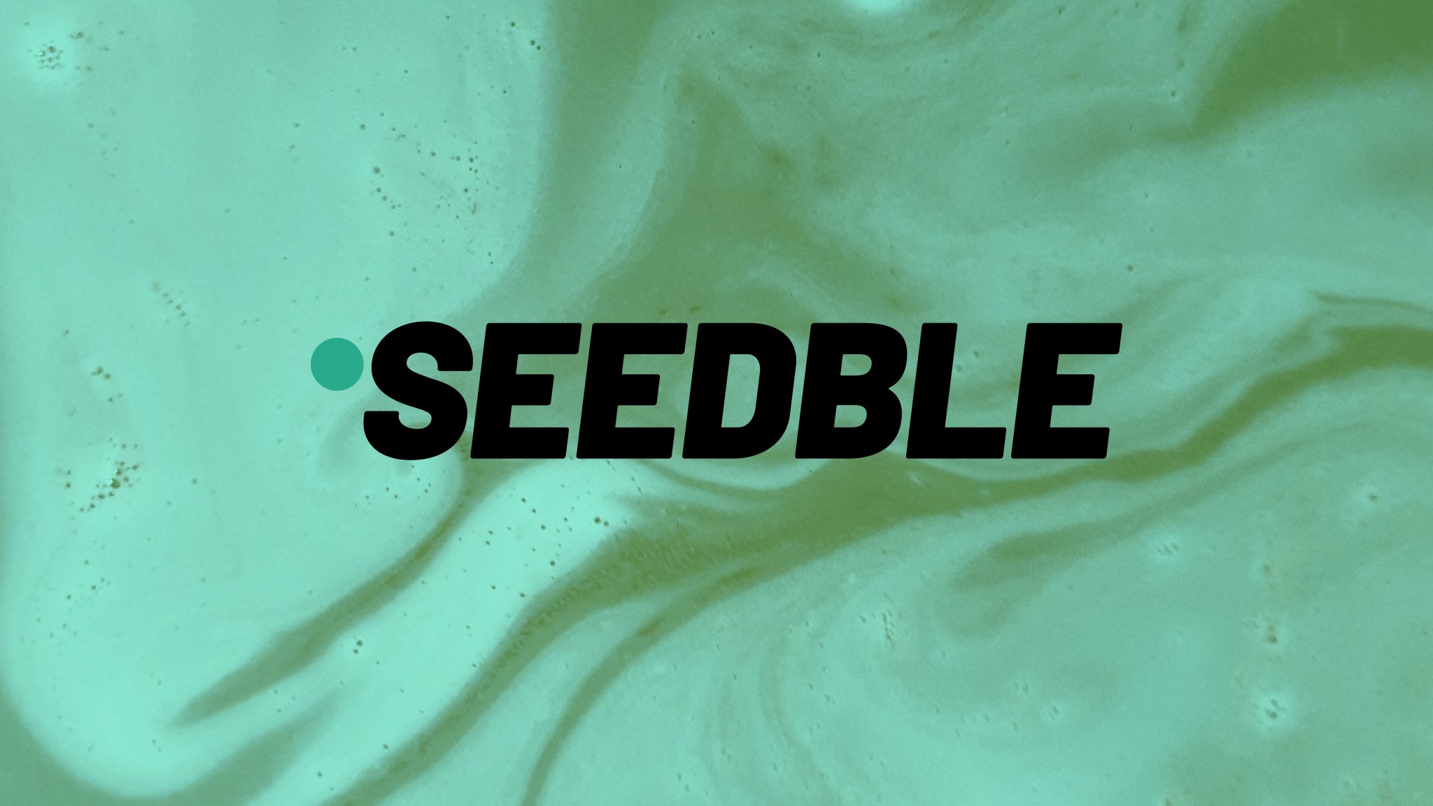 Il nuovo logo Seedble realizzato da Cosmo Design Studio